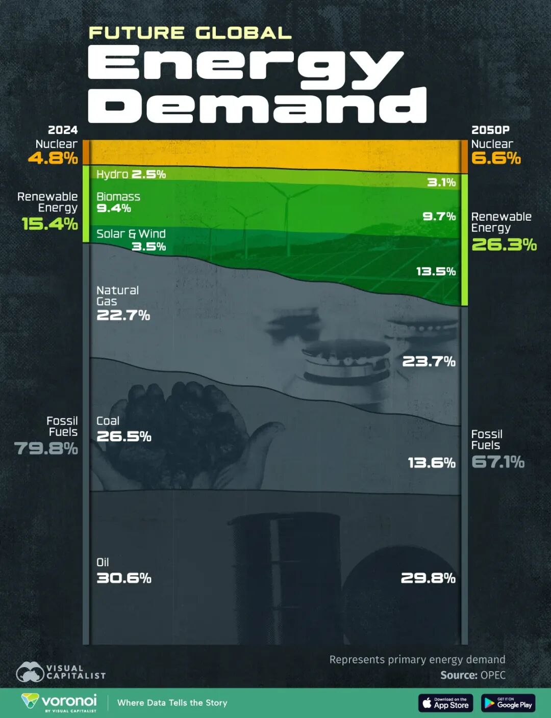 全球能源需求展望（2024-2050）：化石燃料渐退，可再生能源崛起